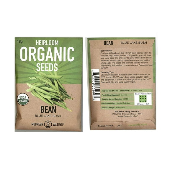 Blue Lake Bush Bean Seeds - Packet: 18 Grams - Non-GMO, Organic - Vegetable Garden Seeds - Mountain Valley Seed Co