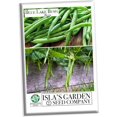 thumbnail image 1 of Blue Lake Bush Green Bean Seeds, 50+ Heirloom Seeds Per Packet, Non GMO Seeds Botanical Name Phaseolus vulgaris, 1 of 6