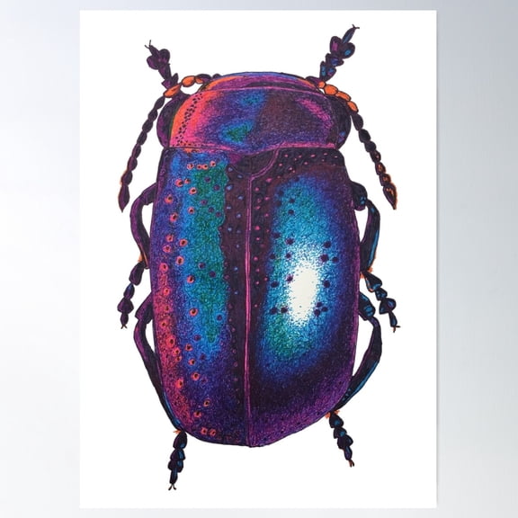 Blue Leaf Beetle Ink Drawing - Chrysolina Poster Wall Art, Modern Wall Decor For Living Room Bedroom, 8x12 UNFRAMED