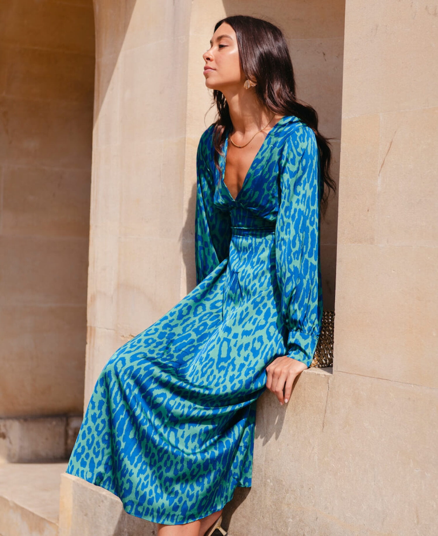 knee length dresses for ladies Electric Blue cheetah print long sleeve modest maxi dress main image 1