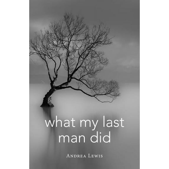 Blue Light Books: What My Last Man Did (Paperback)