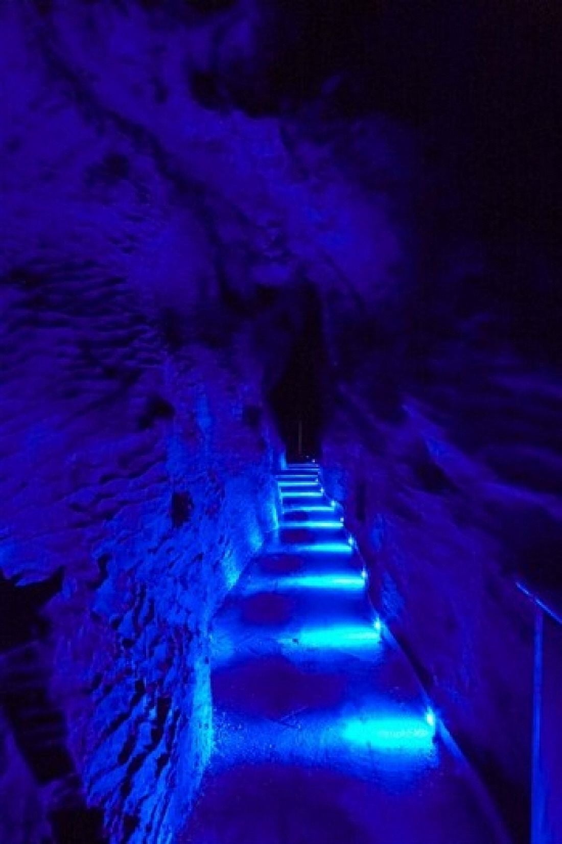 Blue Lights Ruakuri Caves North Island New Zealand Canvas Art - David Wall DanitaDelimont (11 x 17)