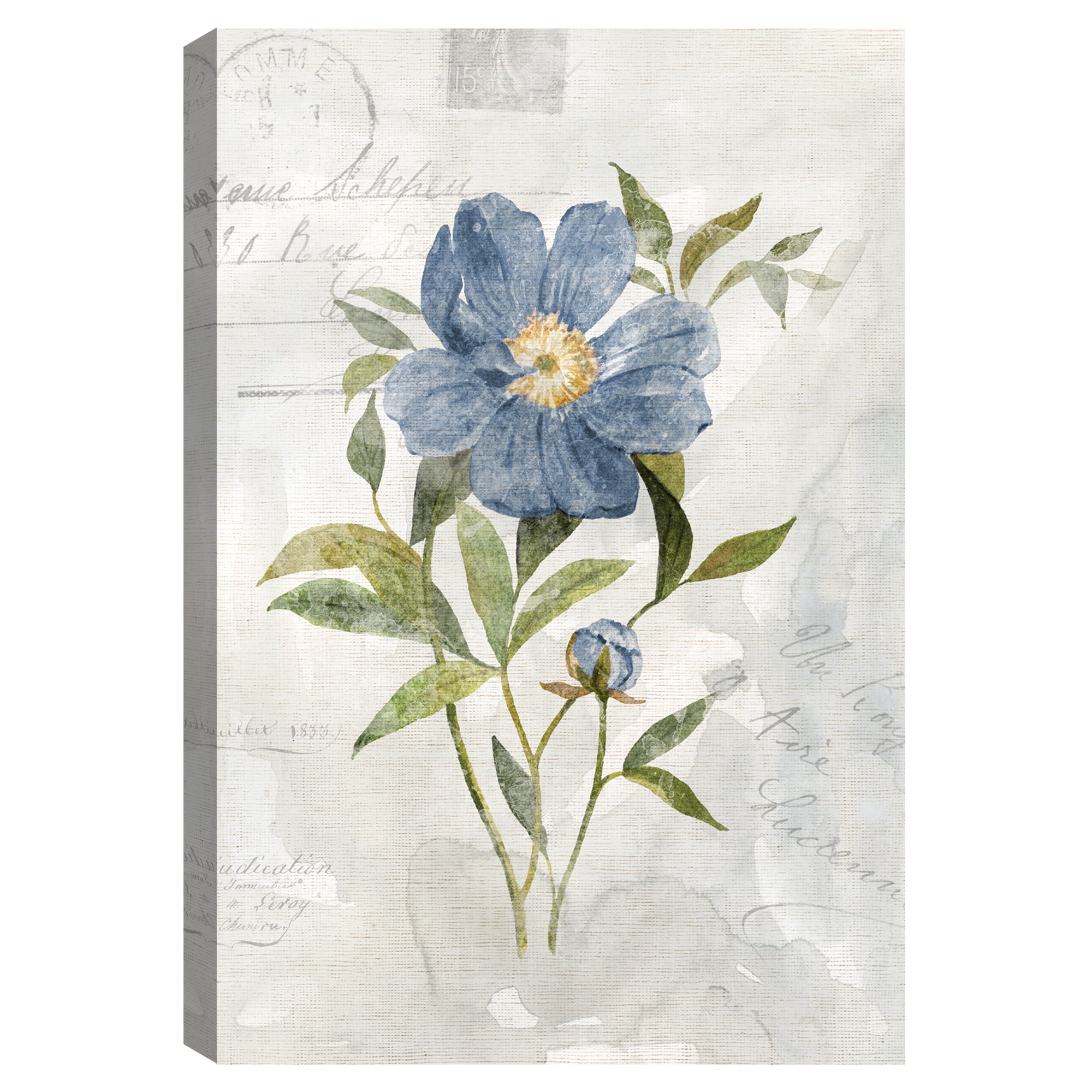 Blue Linen Peony by Carol Robinson Canvas Art Print