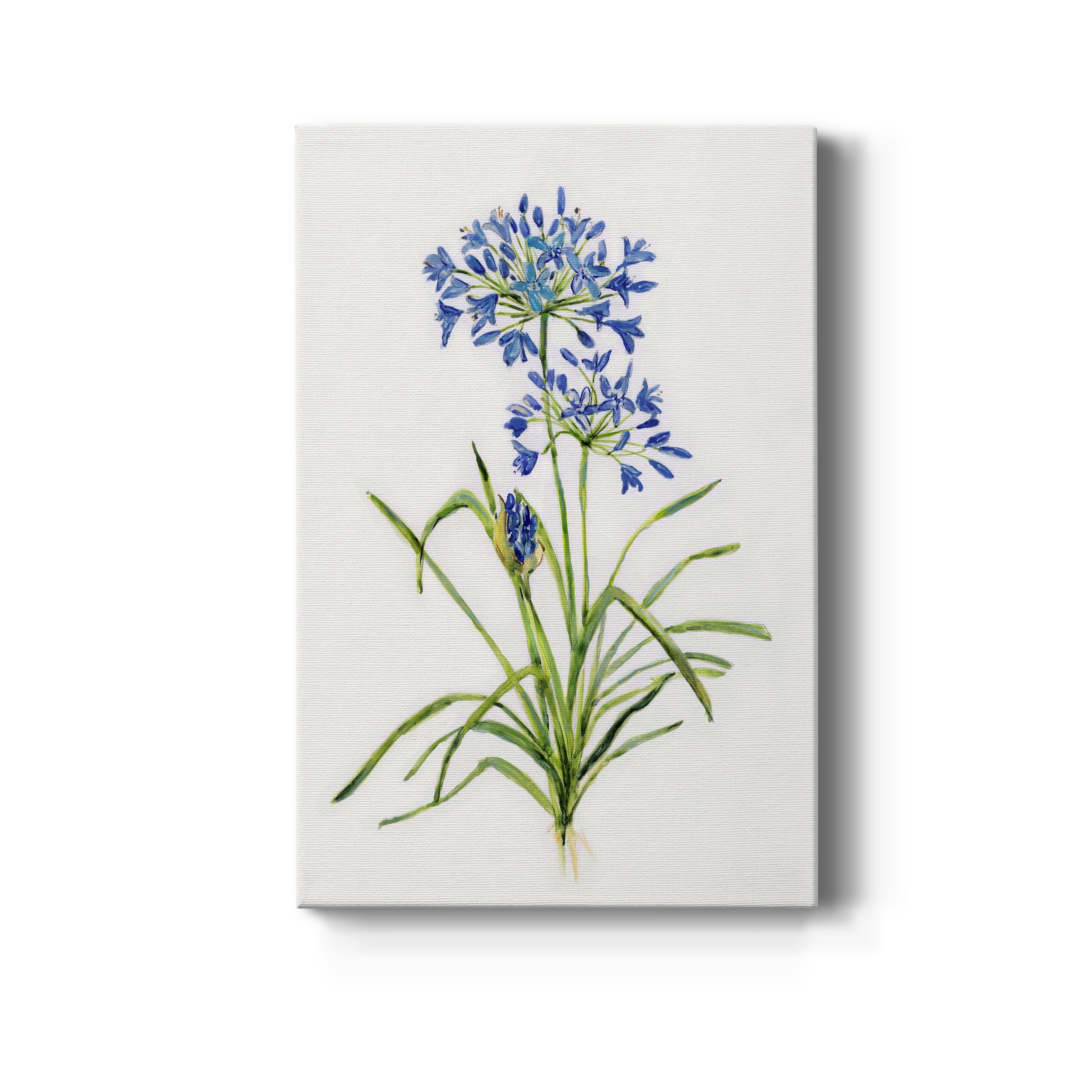 Blue Lively Botanical I Premium Gallery Wrapped Canvas - Ready to Hang - 12 x 18