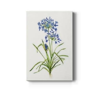 Blue Lively Botanical I Premium Gallery Wrapped Canvas - Ready to Hang - 8 x 12