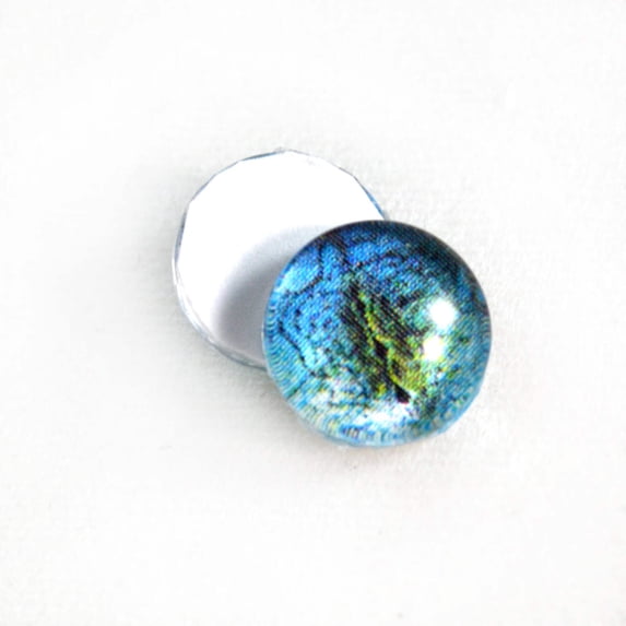 Blue Lizard Reptile Glass Eyes