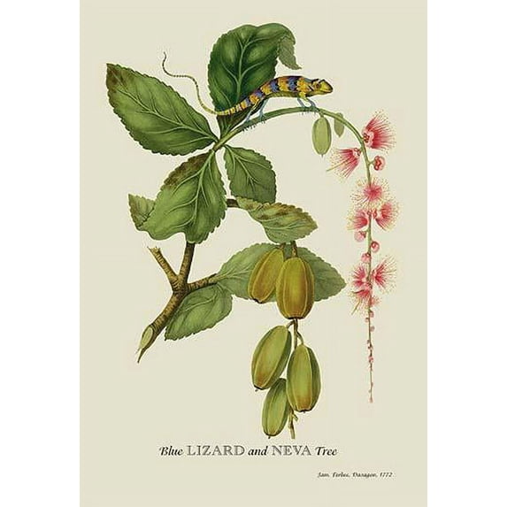 Blue Lizard and Neva Tree-Fine Art Canvas Print (20" x 30")
