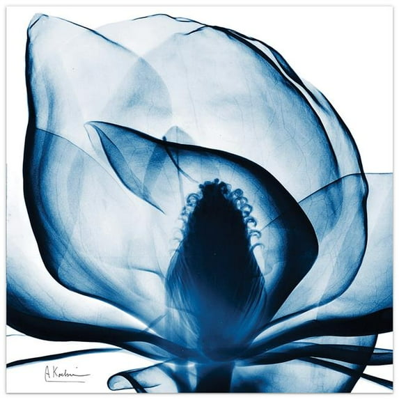 Blue Magnolia X-Ray Frameless Free Floating Tempered Glass Panel Graphic Wall Art - Blue - 24in. x 24in.