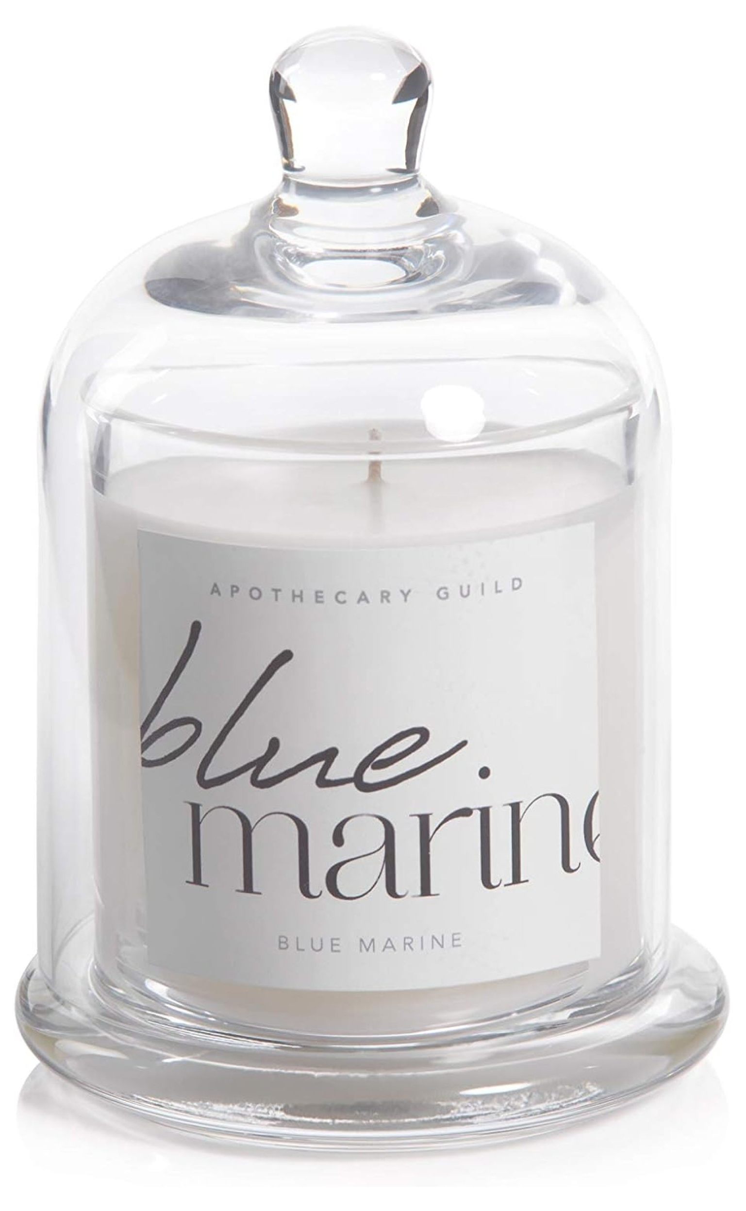 Blue Marine Apothecary Guild 10 Ounce Scented Jar Candle with Dome