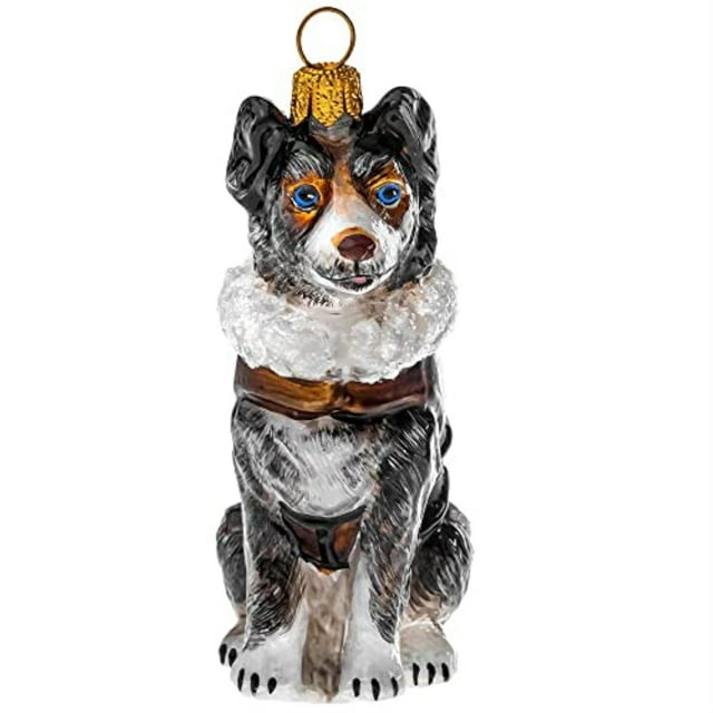Blue Merle Australian Shepherd in Aussie Bomber Jacket Polish Glass Ornament