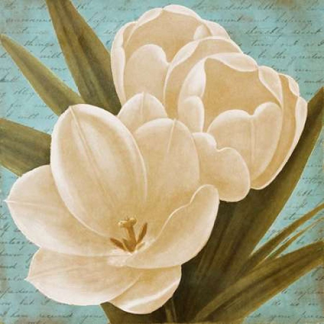 Blue Morning Tulips I Canvas Art - Vivien Rhyan (24 x 24)