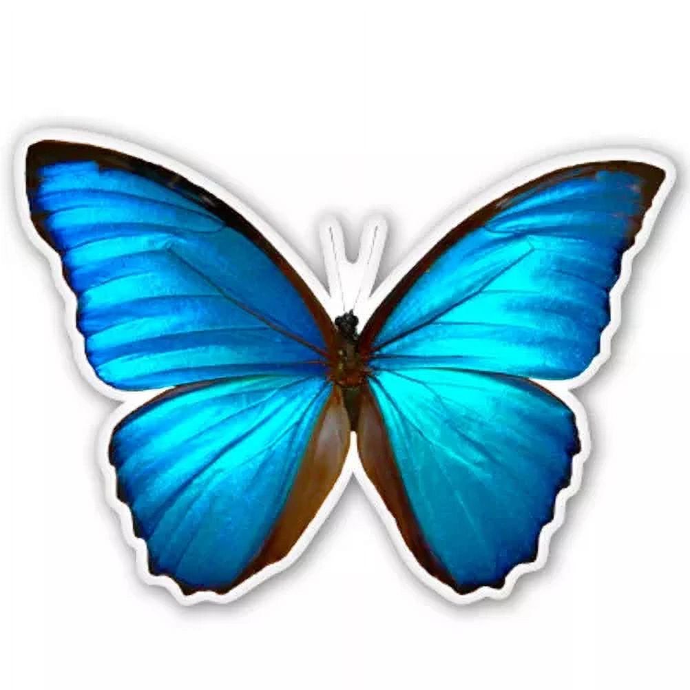 Blue Morpho Butterfly Beautiful Car Sticker Phone Decal Water Bottle ...