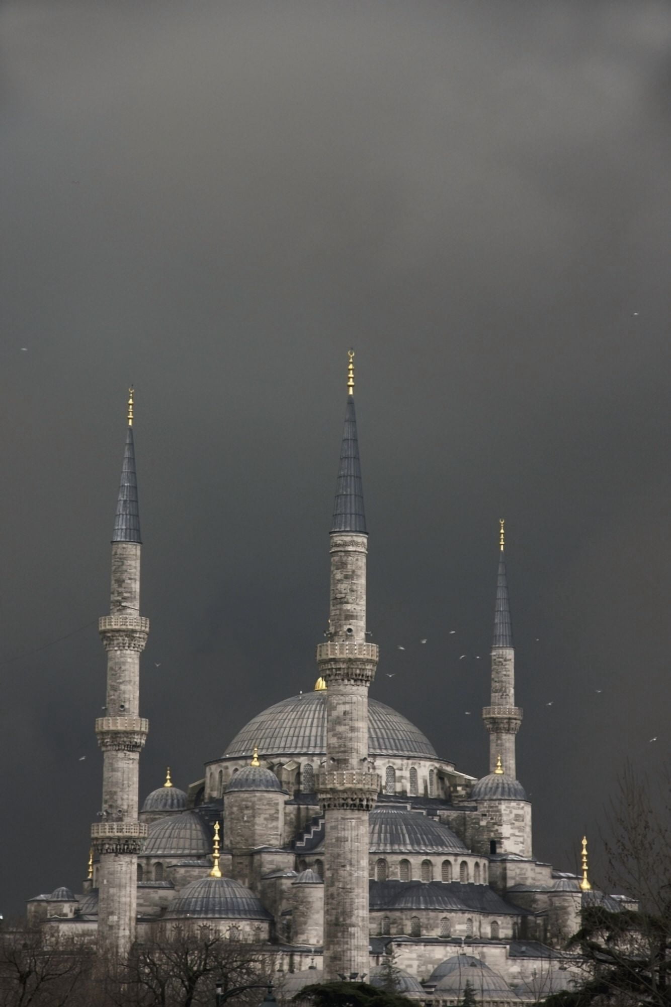 Blue MosqueSultan Ahmet Camii Canvas Art - Marc Jackson Design Pics (12 x 19)