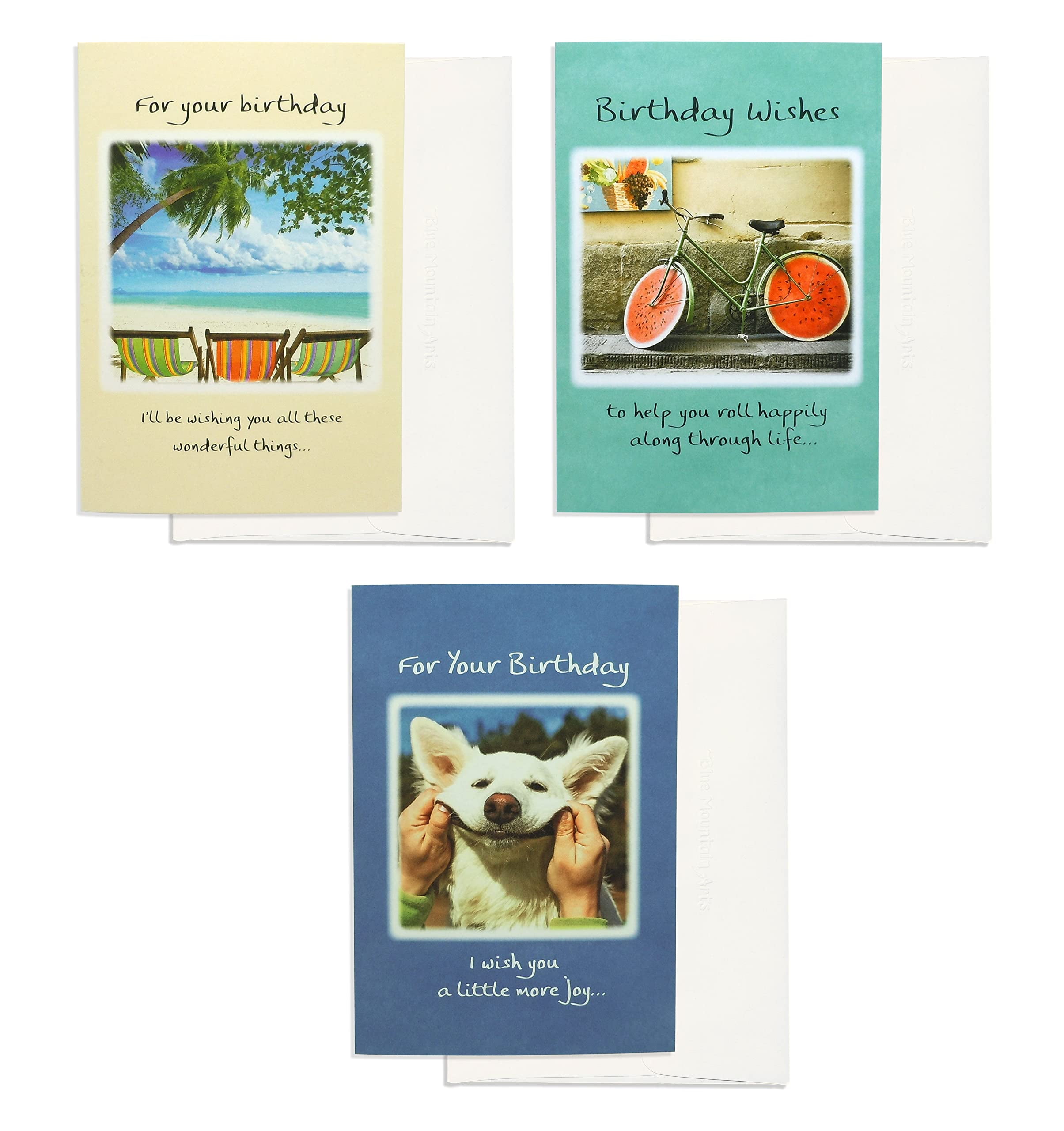 Blue Mountain Arts Birthday Card Assortment-3 Unique Greeting Cards ...