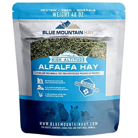 Blue Mountain Hay | 40 oz. Fresh Alfalfa Hay | Available in 15 oz. & 40 oz. Pouches | Nutritious, Delicious Meal Or Snack for Rabbits, Guinea Pigs, Hamsters, Gerbils, Rats, and Other Small Pets
