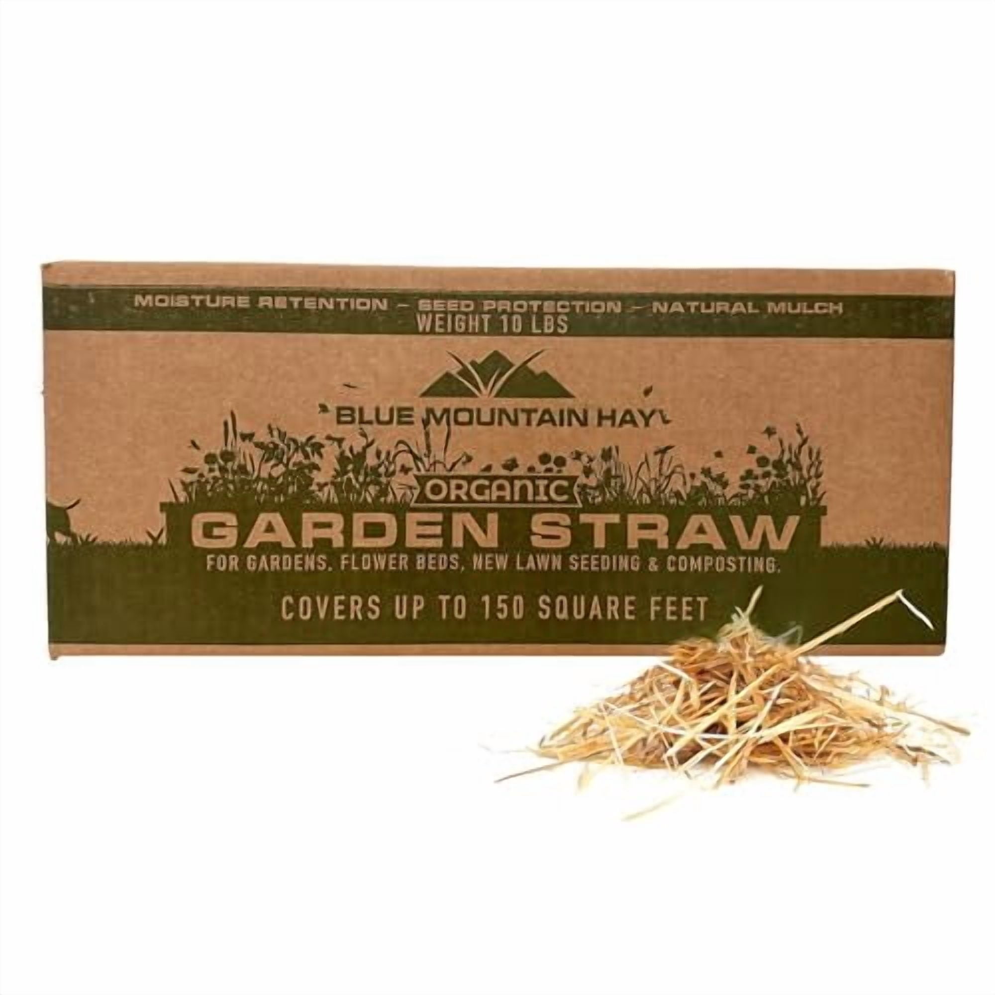 Blue Mountain Hay Organic Garden Straw (10 lb) - Natural Mulch for Gardening, Flower Beds & Landscaping, New Lawn Grass Seeding, Compost, Raised Garden Bed, Cat Grass & Grass Seed