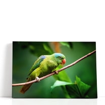 Blue-Naped Parrot, Tanygnathus Lucionensis Closeup - Wrapped Canvas Print Wall Art | 18" W x 12" H