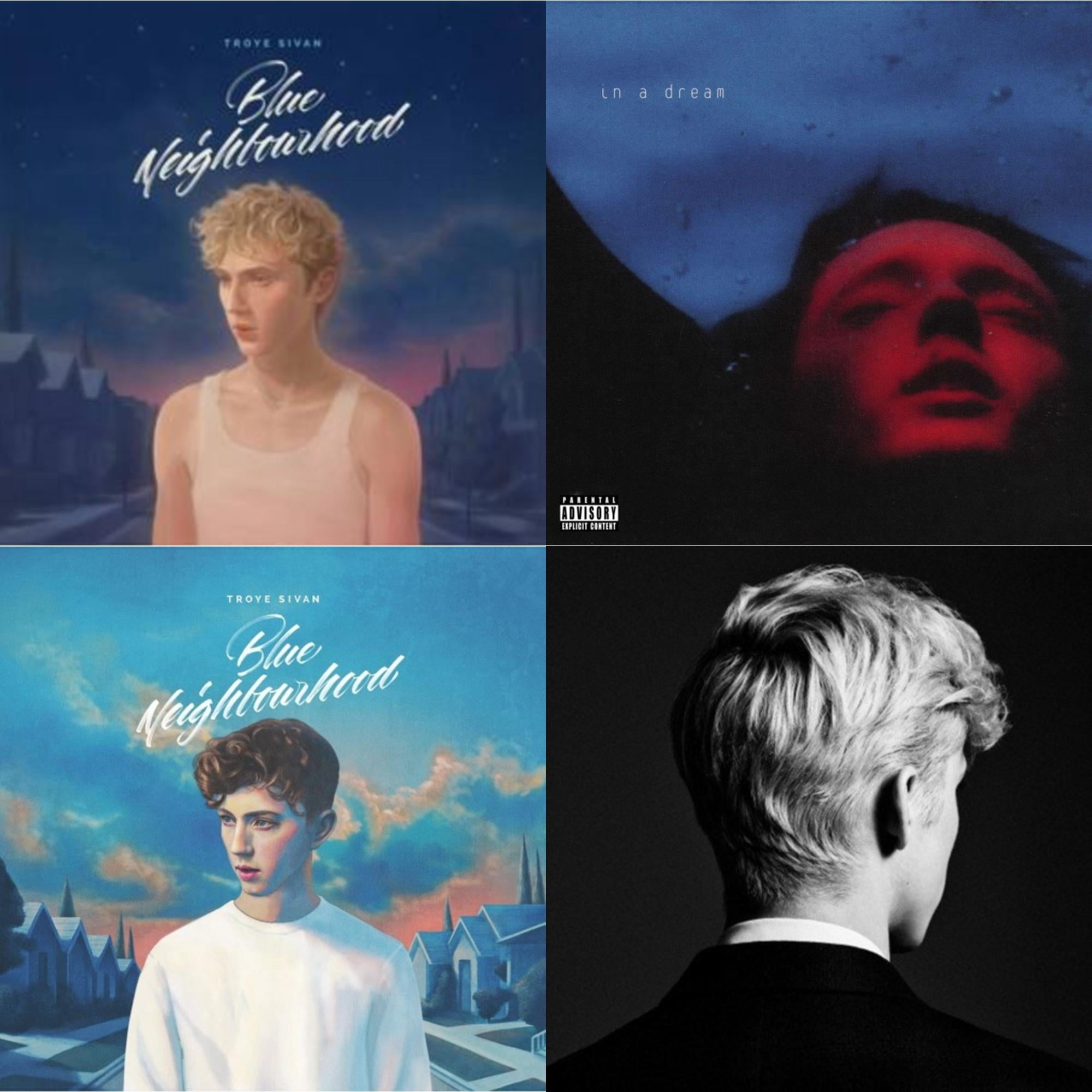 Troye Sivan Music Wall: Vinyl Records, CDs & Cassettes | Walmart