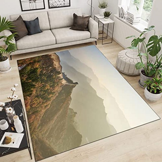 Blue Ocean Area Rug Irregular Texture Indoor Rugs Floor Carpet for Room