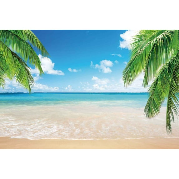 Blue Ocean Beach Backdrop Tropical Summer Photography Background Sunset Seaside Palm Tree Wave Sand Ship ration Wall