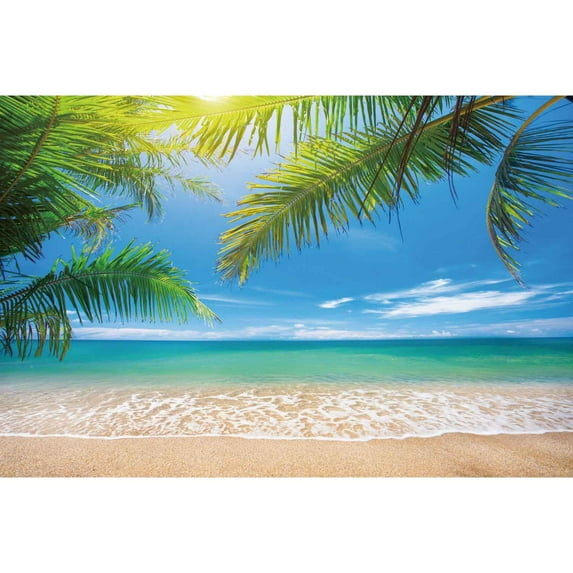 Blue Ocean Beach Backdrop Tropical Summer Photography Background Sunset Seaside Palm Tree Wave Sand Ship ration Wall