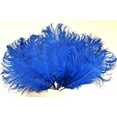 thumbnail image 1 of Blue Ostrich Feathers 8-12 per Six (6), 1 of 1