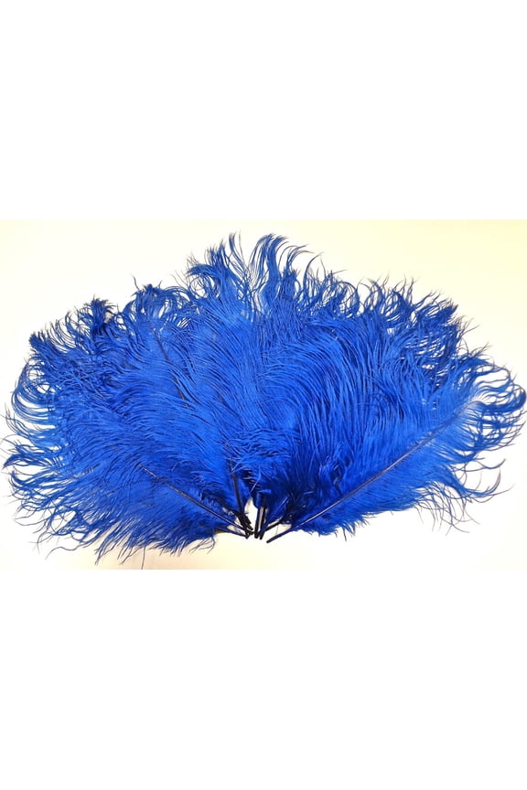 Blue Ostrich Feathers 8-12 per Six (6)