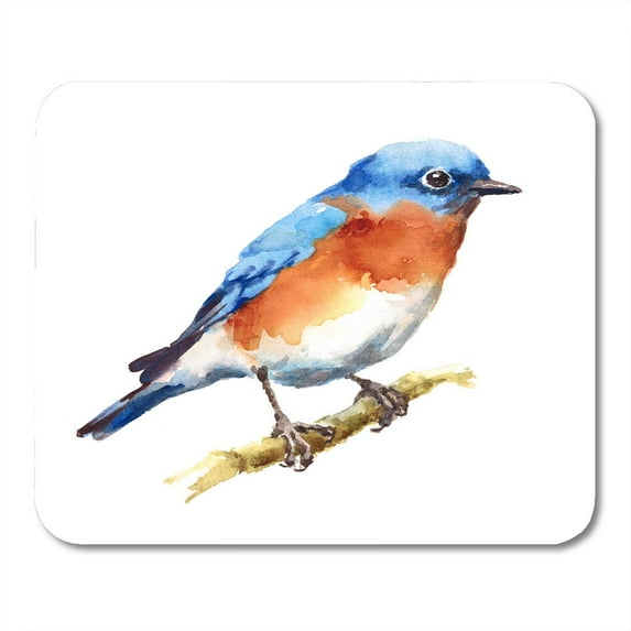 Blue Painting Watercolor Bird Bluebird Branch Hand Beautiful Cute Drawn Mousepad Mouse Pad Mouse Mat 9x10 inch