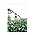 thumbnail image 1 of Blue Palomino 'Barn In Crop Rows Half' Canvas Art, 1 of 3