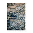 thumbnail image 1 of Blue Palomino 'Topography Cactus' Canvas Art, 1 of 3