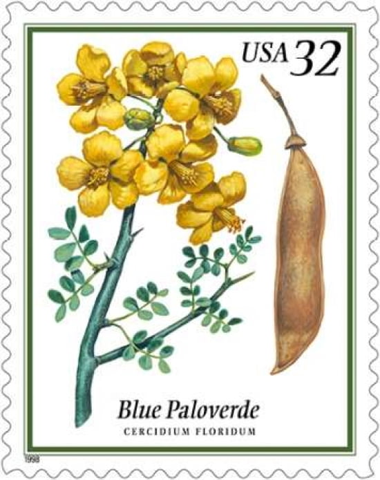 Blue Paloverde Canvas Art - US POSTAL SERVICE (24 x 30)