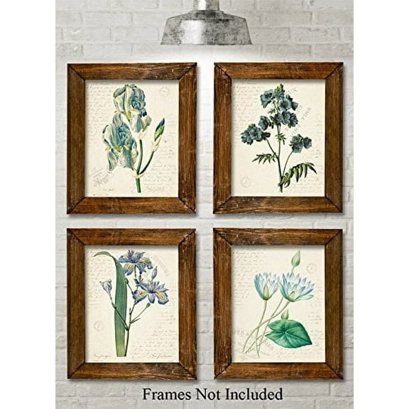 Blue Paris Botanicals Art Prints - Set of Four Prints (8x10) Unframed - Great for Bedroom/Bathroom Decor