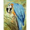 thumbnail image 1 of Blue Parrots Flag Garden Size, 1 of 1
