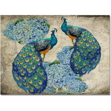 Blue Peacock Area Rug, Watercolor Indoor Carpet, Rug With Non-Slip Backing Easy Can Be Washed For Living Room Bedroom Home Office Floor Rug 3 x 4ft