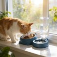 thumbnail image 1 of Blue Pet Feeder and Water Dispenser, 2 in 1 Stainless Steel Bowl, Automatic Waterer for Cats Dogs, 1 of 6