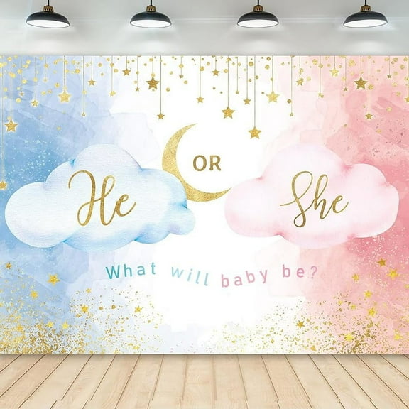 Blue Pink Gender Reveal Backdrop He or She Party Supplies Decorations Photography Background Watercolor Rose Gold Cloud Baby Shower for Newborn Party Decorations Banner Photo Booth Props