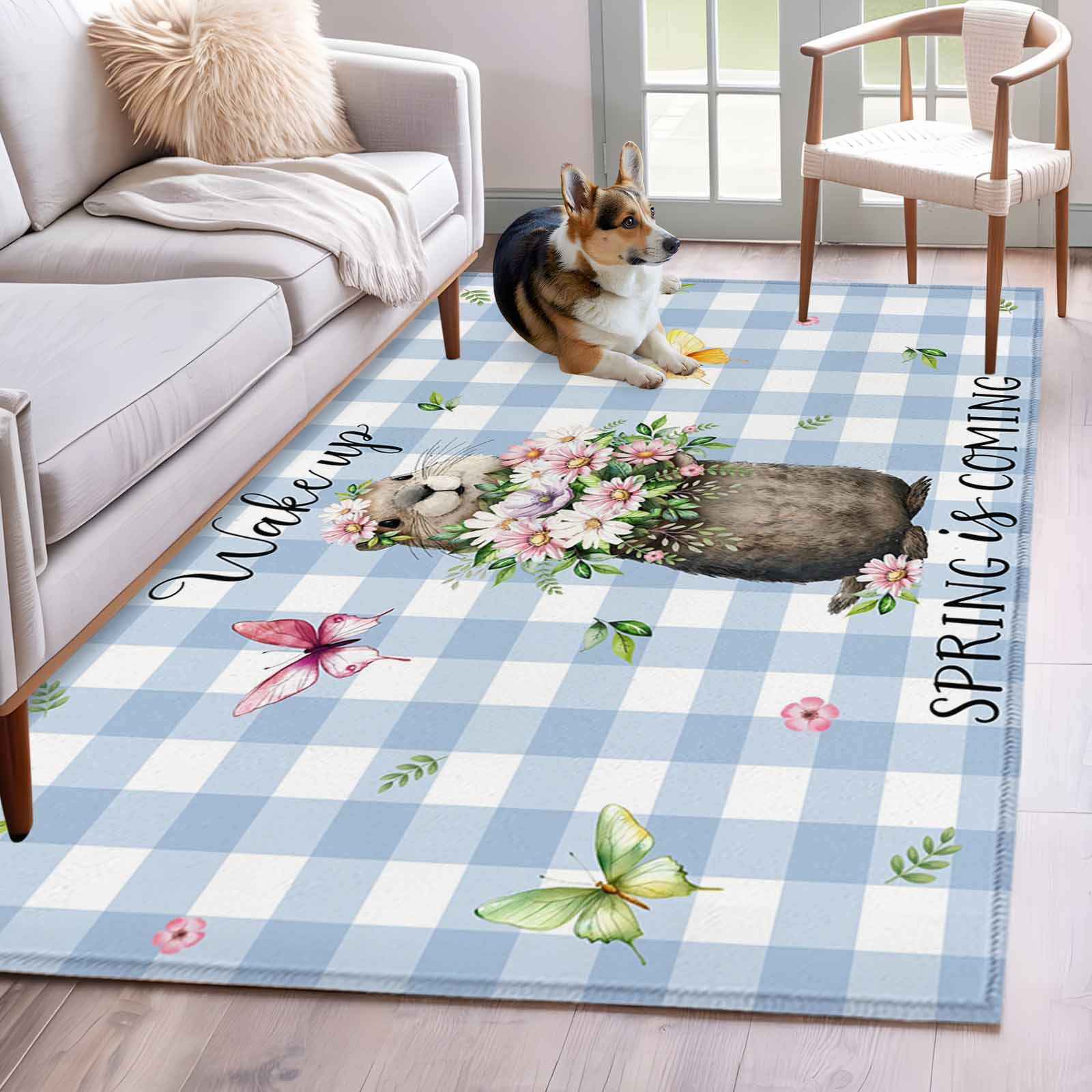 Blue Plaid Groundhog Area Rugs 3'x5', Washable Small Throw Rugs for ...