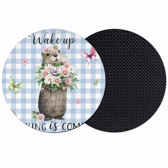 Blue Plaid Groundhog Coasters Set of 2, Absorbent Coasters for Drinks, Spring Floral Butterfly Botanical Coaster for Desk Coffee Table Protection, Home Decor House Warming Gifts 4"