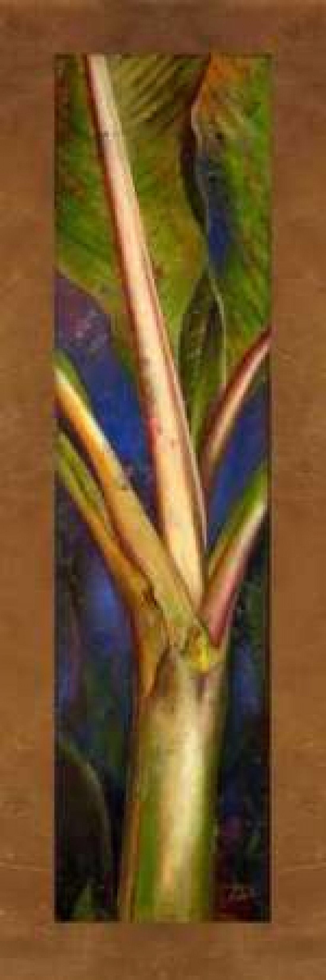 Blue Plantain Canvas Art - Patricia Pinto (12 x 36)