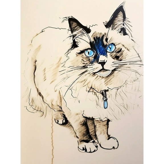 Blue Point Ragdoll Cat Sketch Drawing Portrait Large Wall Art Poster Print Thick Paper 18X24 Inch