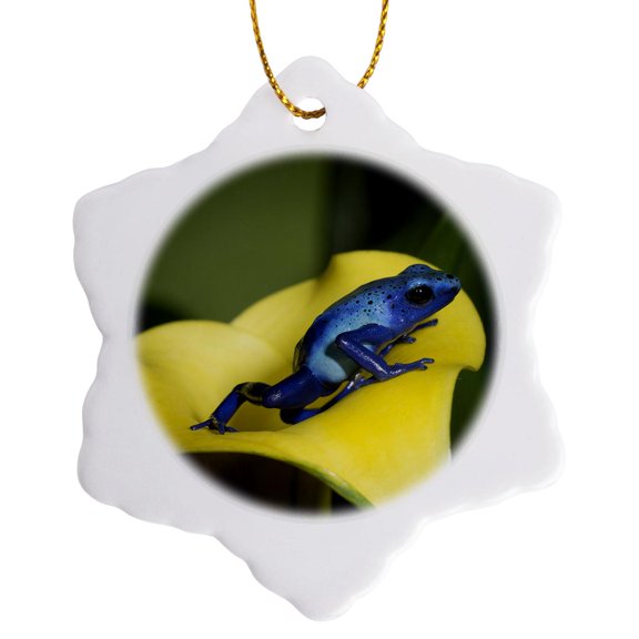 3drose, Blue Poison Dart Frog, Blue Poison Arrow Frog, Dendrobates Tinctorius., 3 inch Snowflake Porcelain Ornament