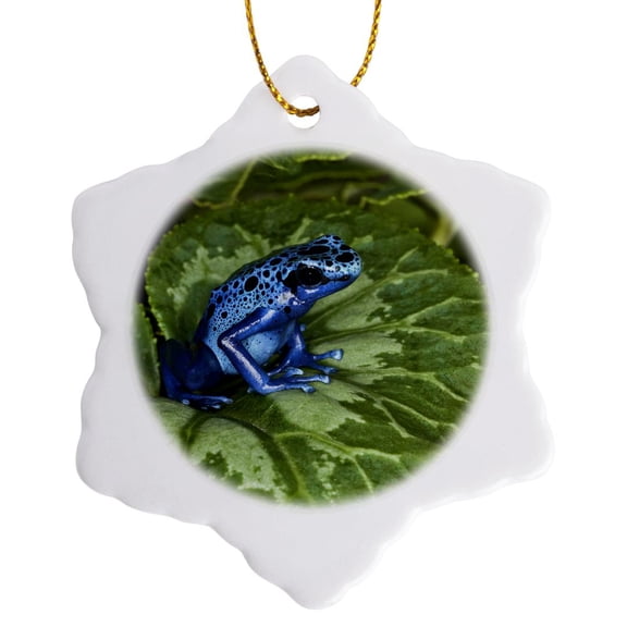 3drose, Blue Poison Dart Frog, Surinam - Sa18 Aje0002 - Adam Jones, 3 inch Snowflake Porcelain Ornament