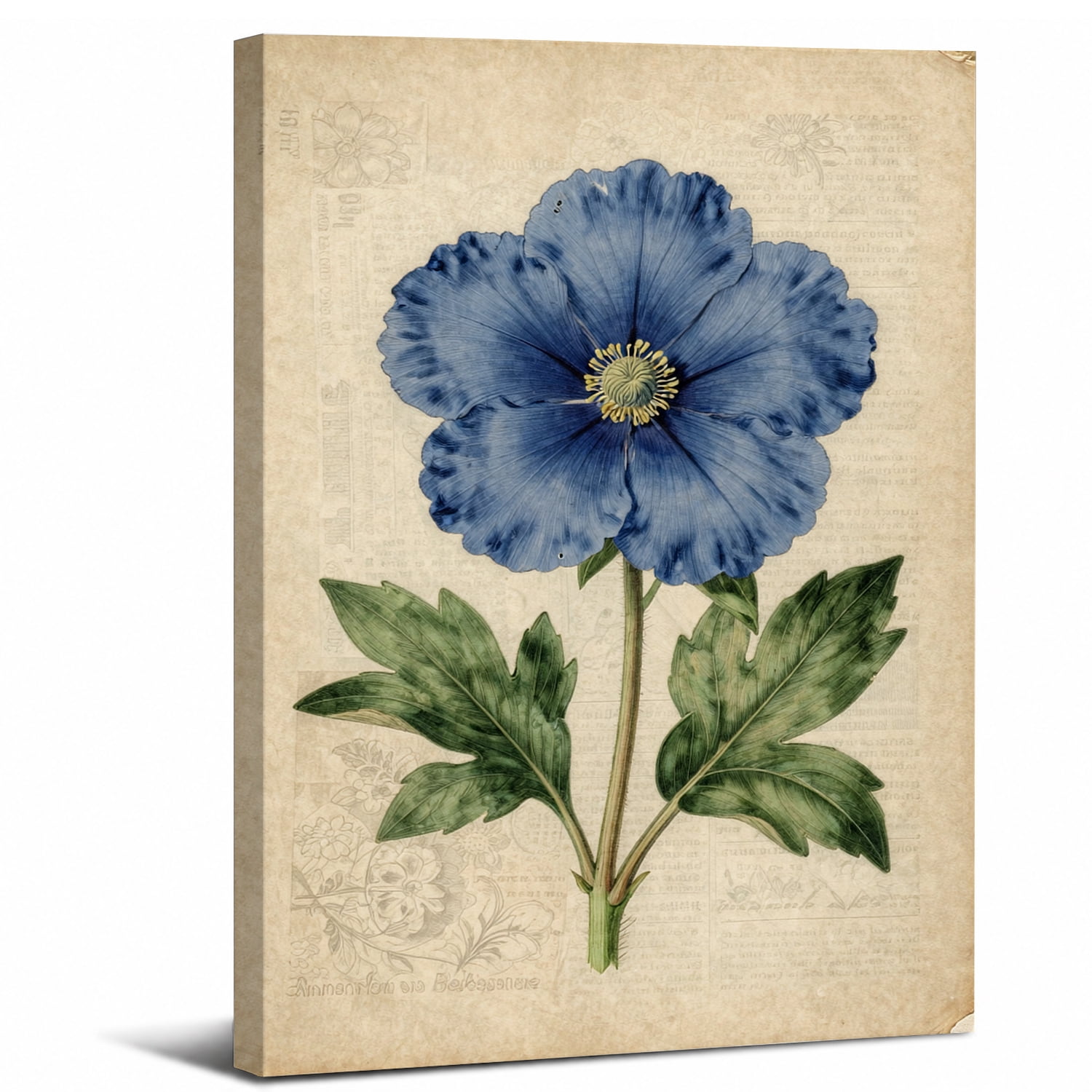 Blue Poppy Flower Canvas Wall Art Framed for bathroom bedroom or living ...