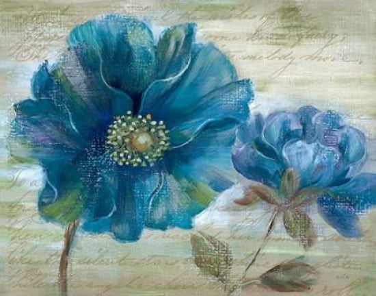 Blue Poppy Poem I Canvas Art - Nan (22 x 28)