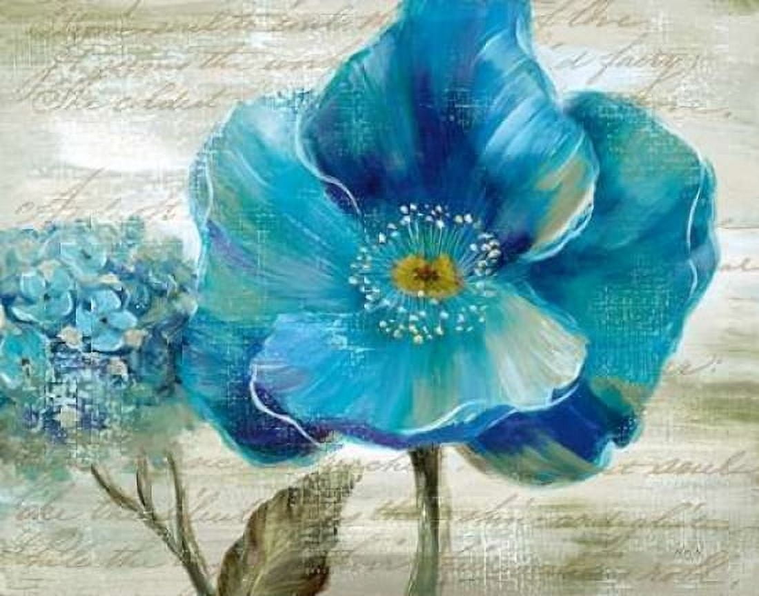 Blue Poppy Poem II Canvas Art - Nan (22 x 28)