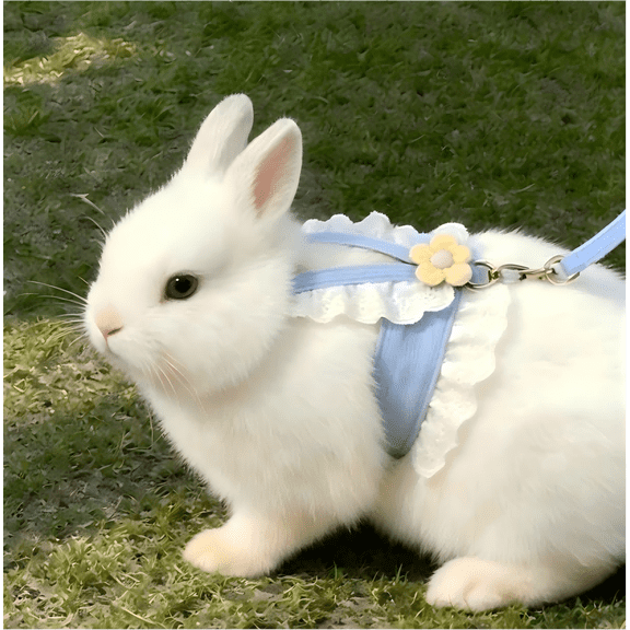 Blue Rabbit Harness Leash Set (S-XL), Escape-Proof JK Style, Breathable Bunny Chest Harness (Fits 3.3-19.8 lbs) L