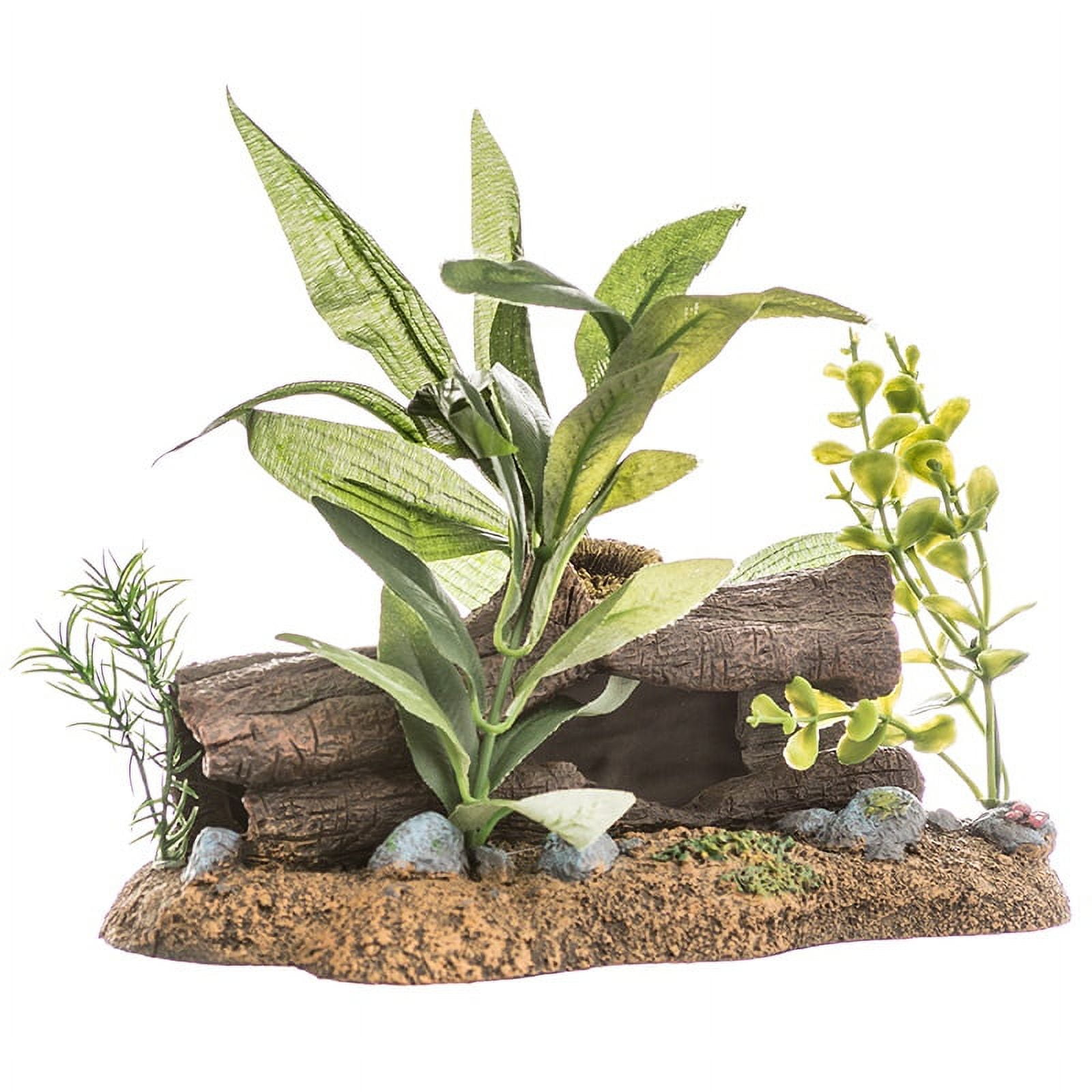 Blue ribbon top aquarium decorations