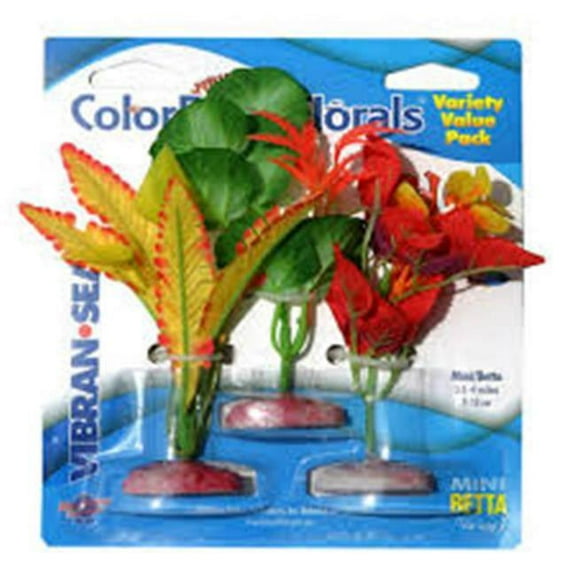 Blue Ribbon Pet Products CB-MINIVP7 Colorburst Florals Plant Variety Pack - Large