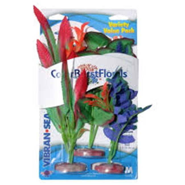Blue Ribbon Pet Products CB-MVP7 Colorburst Florals Plant Variety Pack ...