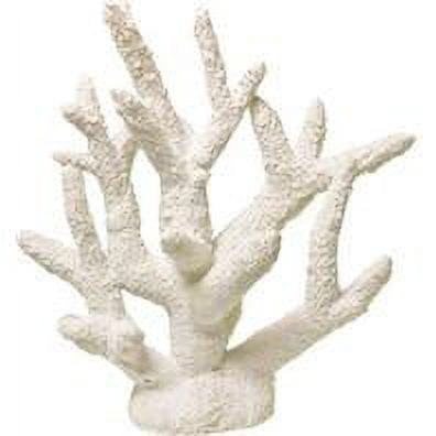 Exotic Environments Staghorn Coral
